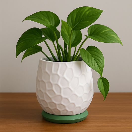 Nido Planter Pot (Package of 2)